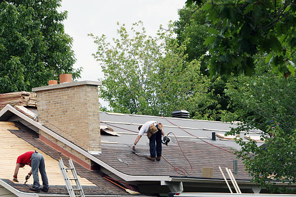 Professional Roofing Contractor in South Paris, ME